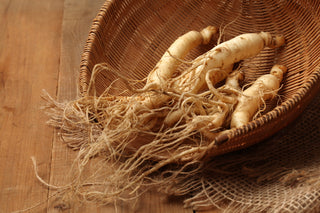 Ginseng 