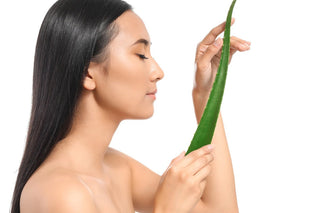 Aloe in der Kosmetik – einzigartige Naturkosmetik für Haut und Haar 